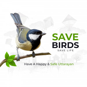 Makar Sankranti Wisehs Images, Poster and Status Free Download 250 Save Birds save life